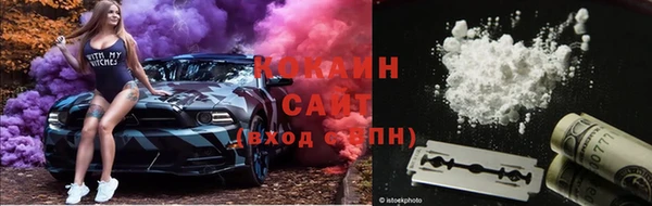 a pvp Коряжма