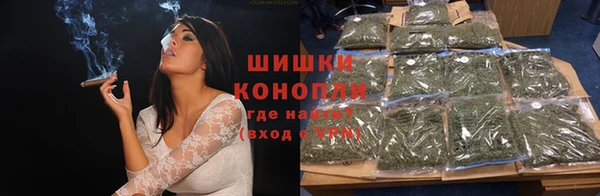 молекула духа Костерёво