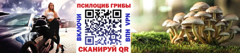 Галлюциногенные грибы мухоморы  Купить закладки  Плёс 
